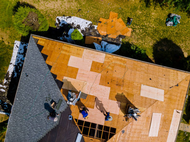 Best Roof Maintenance Services  in Perry, UT