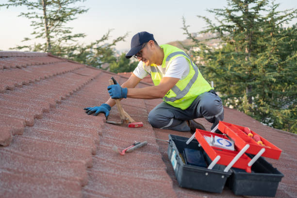 Roof Gutter Cleaning in Perry, UT